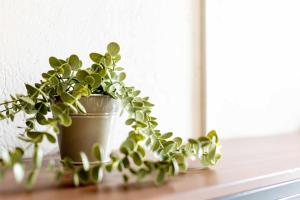 304 Balcony apt Walk to Zocalo AC Rooftop