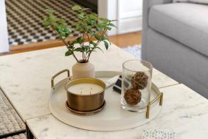 The Adaline #3 - Upscale Hyde Park Apt, First Floor