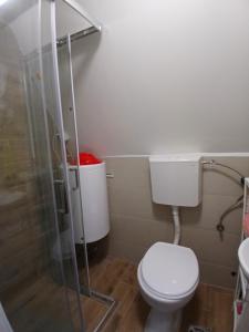 Vila SVITAC Banja Vrujci