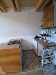 Vila SVITAC Banja Vrujci