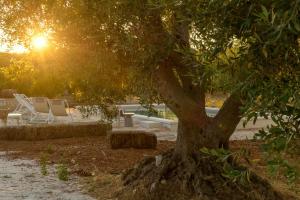 Apulian Trulli Nigri with private swimming pool