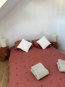 Nid douillet avec parking - Ubytování bez kategorie ve městě Vierzon