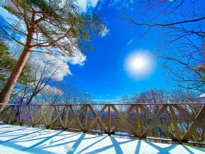 Terrace 1029 - Vacation STAY 19408