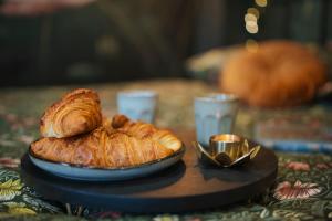 Appartements Under sea jacuzzi privee 5 in du centre vill place de stationnement privee possible : photos des chambres