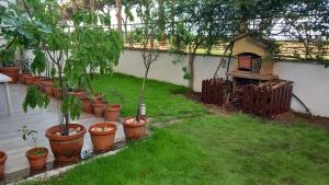 Bilocale EUR Grotta Perfetta 50mq casa 32mq sala hobbies e 250mq giardino