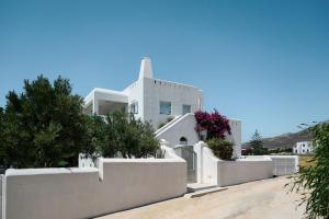 Naxos Kastraki Homey Villa with Sea View