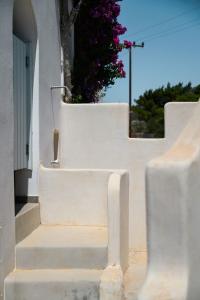 Naxos Kastraki Homey Villa with Sea View