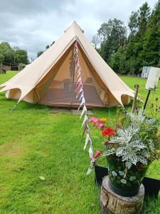 Hendre Glamping Retreat, The Wrens Nest