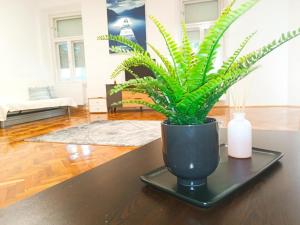 Ibolya Apartman Szeged