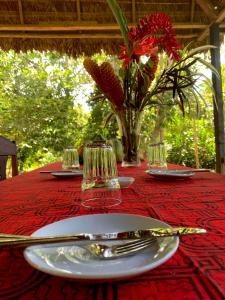 tambopata oropendola