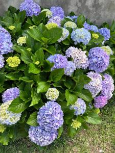 Baía das Caldeirinhas