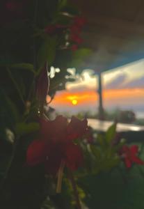 Dimora Acqua del Fico