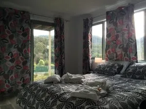 Scout Hall - Strathgordon