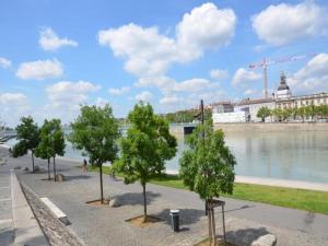 Appartements DIFY Sunny - 10 Min centre de Lyon : photos des chambres