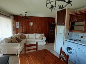 Appartements Appartement spacieux, vue pistes, animaux acceptes, parking - FR-1-445-226 : photos des chambres