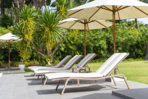 Villa C 20-meter long swimming pool and large courtyard villa