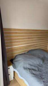 Cozy apartment X2 Development