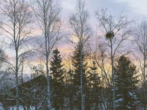 easelog 中富良野山居木屋 距離富良野滑雪场15分钟車程