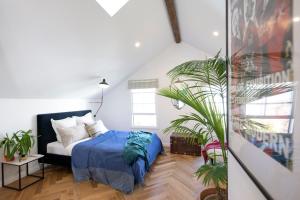 The Barn, Paddington