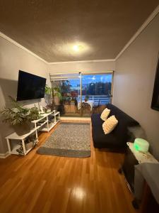 Vista Premium Laguna Centro Concepción