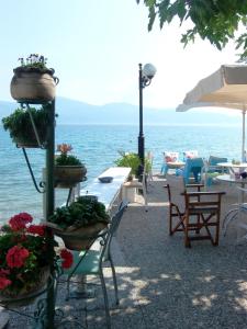 Hotel Plaz Achaia Greece