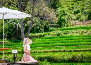 MT House Sa Pa - Mountain & Terraced fields View And Trekking Tour