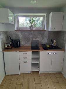 Apartament z ogrodem I
