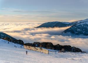 Altezza 2 bedroom apartments