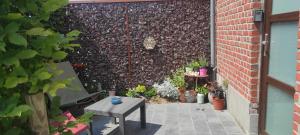 Studio gîte Eul Cat Huant