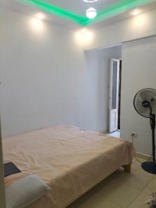 شقه مصيف بالنخيل اكتوبر قوات مسلحه