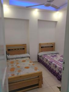 شقه مصيف بالنخيل اكتوبر قوات مسلحه