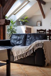 Beardy Bear Cave - Premium Central Rooftop #Parking