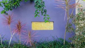 A Tropical Treat - Sea Level Port Douglas