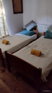 Rajas House