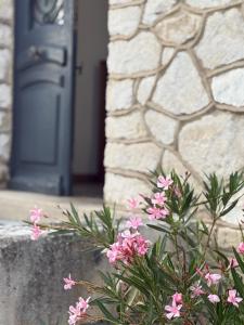 Appartements de Diane - JOIGNY : photos des chambres