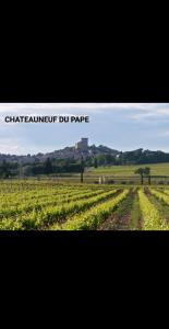 Appartements La suite-Appartement Cosy 300m du theatre Antique : photos des chambres