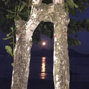 Ubatuba Praia da Fortaleza