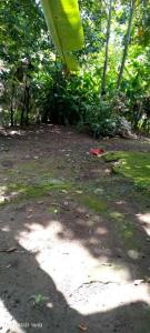 Belmoro Transient House