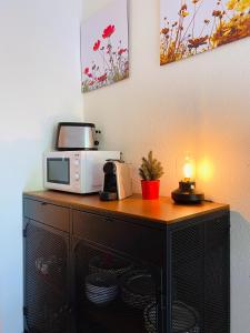 Ravissant studio avec terrasse à Torgon