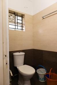 Stay Above by Alchemy Homes