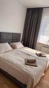 M&W Apartment