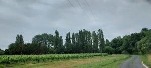 Chambre de La Lagune