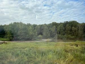 Chalets Parcel Tiny House l-Atree au bord d-un etang : photos des chambres