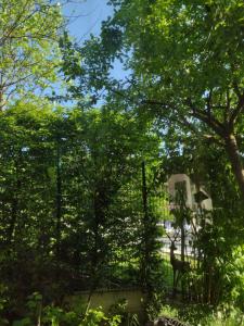 Apartmán pod Kolibou