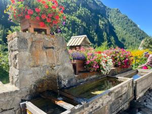 Appartements Le Bellevue T3 - Orcieres Merlette : photos des chambres