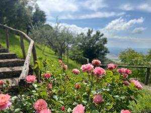 Agriturismo Casa Paradiso