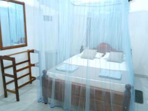 Villa Coconut Tree Hill