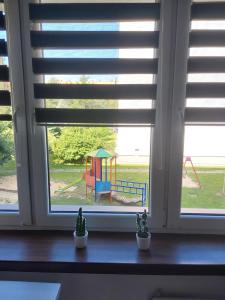 Sunny Family Zator Energylandia