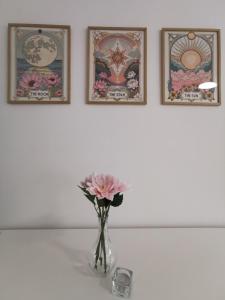 Studio Garden City Center Pomorie