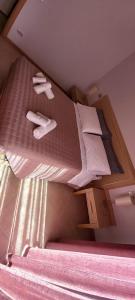 Hotel Villa Argia Rimini Marina Centro